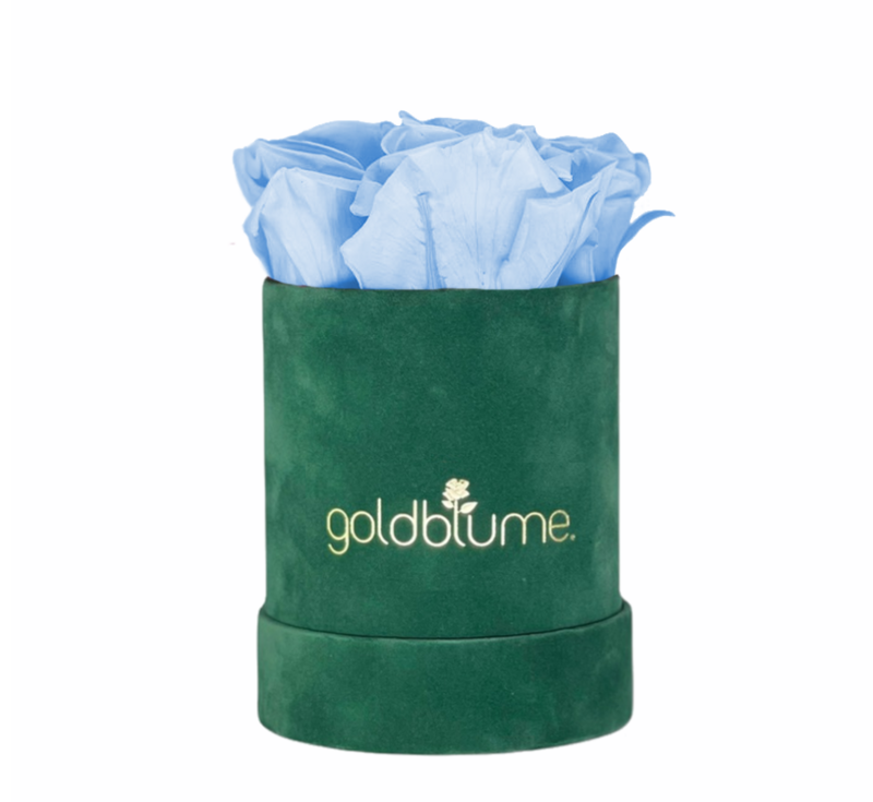 Colección Terciopelo Verde