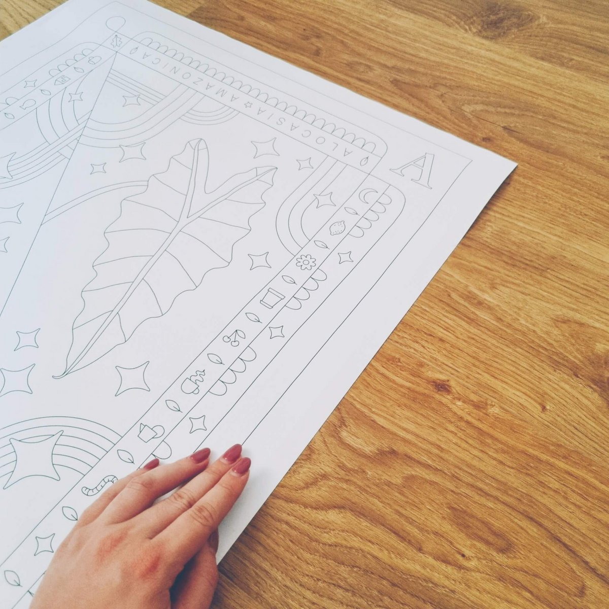 Alocasia Amazonica Coloring Poster 50x70 cm