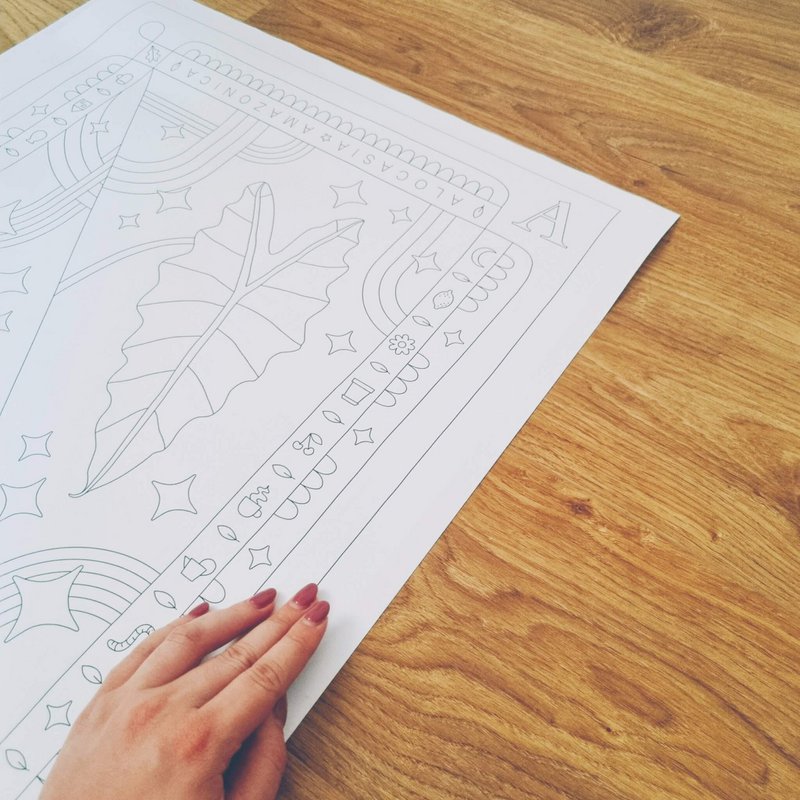 Póster para colorear de alocasia amazónica 50x70 cm