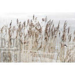 Acrylic glass billede - Esma