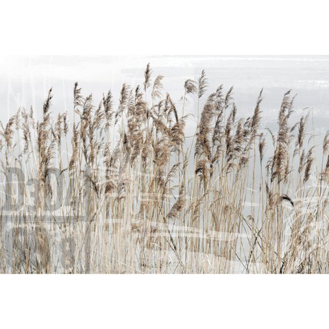 Acrylic glass picture - Esma
