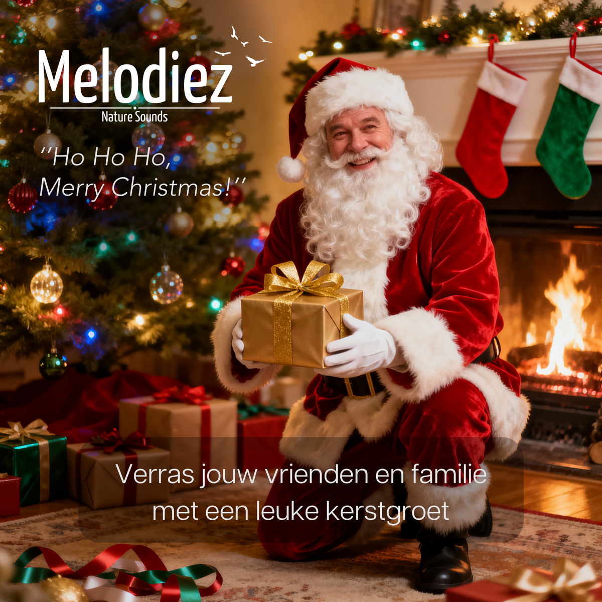 Melodiez Christmas noises with sensor - box incl. Batteries and 4 Christmas numbers and a greeting Santa