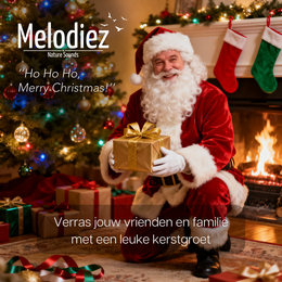 Melodiez Christmas noises with sensor - box incl. Batteries and 4 Christmas numbers and a greeting Santa