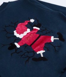Baby Merry Christmas Embroidered Sweatshirt