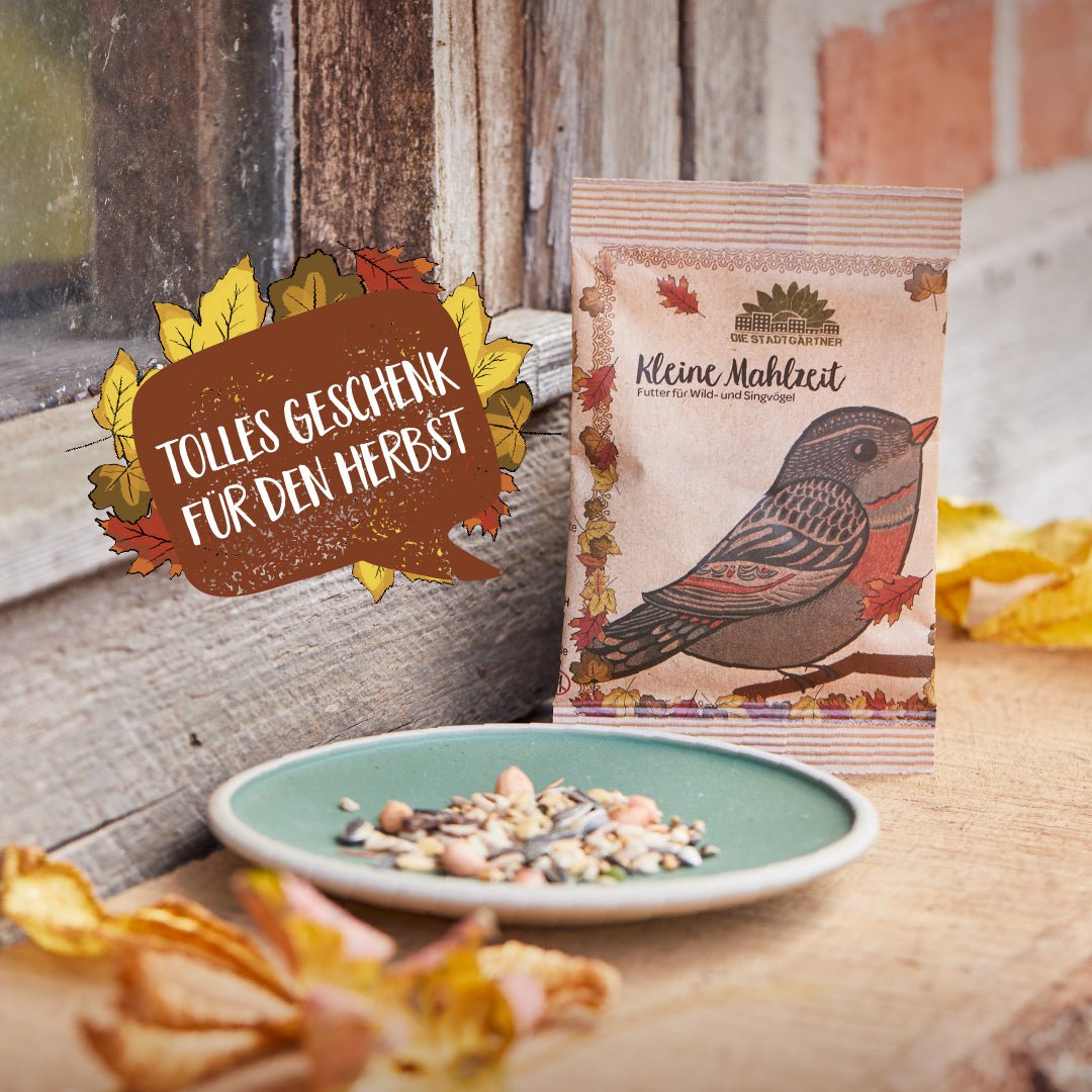 Kleine Mahlzeit Vögel