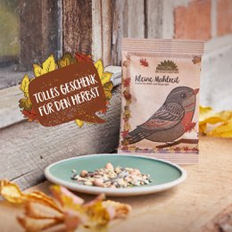 Kleine Mahlzeit Vögel