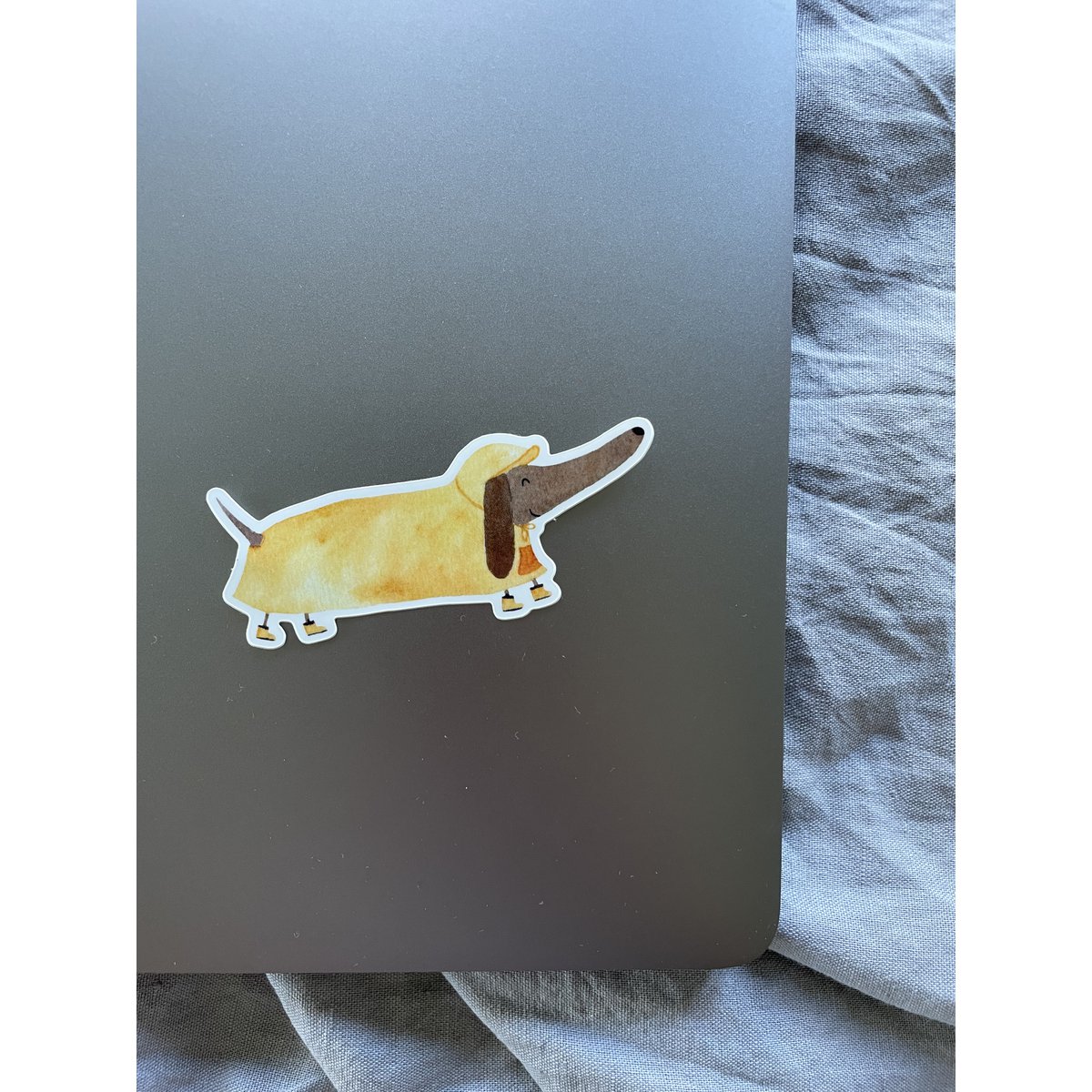 Vinylsticker teckel met regenjas