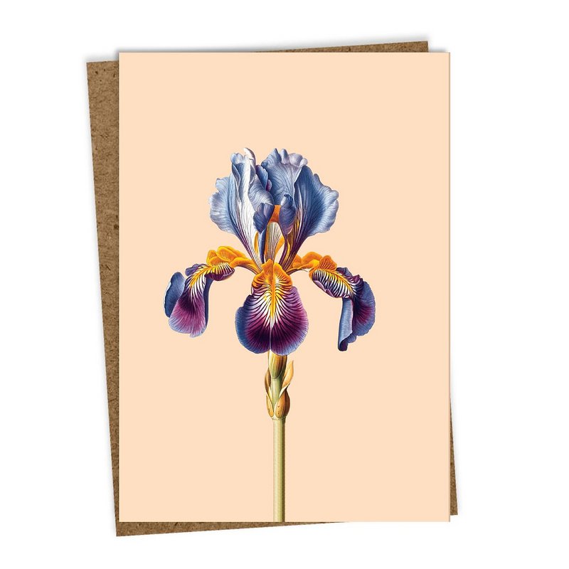 Tarjeta de felicitación Leporello Iris