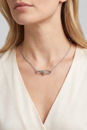 Roestvrij stalen ketting