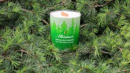 Tall, round, green candle with white label featuring pine tree graphic and "Abies Alba Plant Candle" text.
