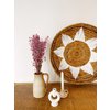 Avena roze gedroogde bloemen