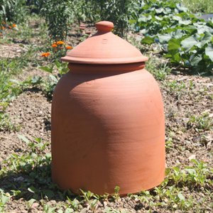 Pot à Rhubarbe