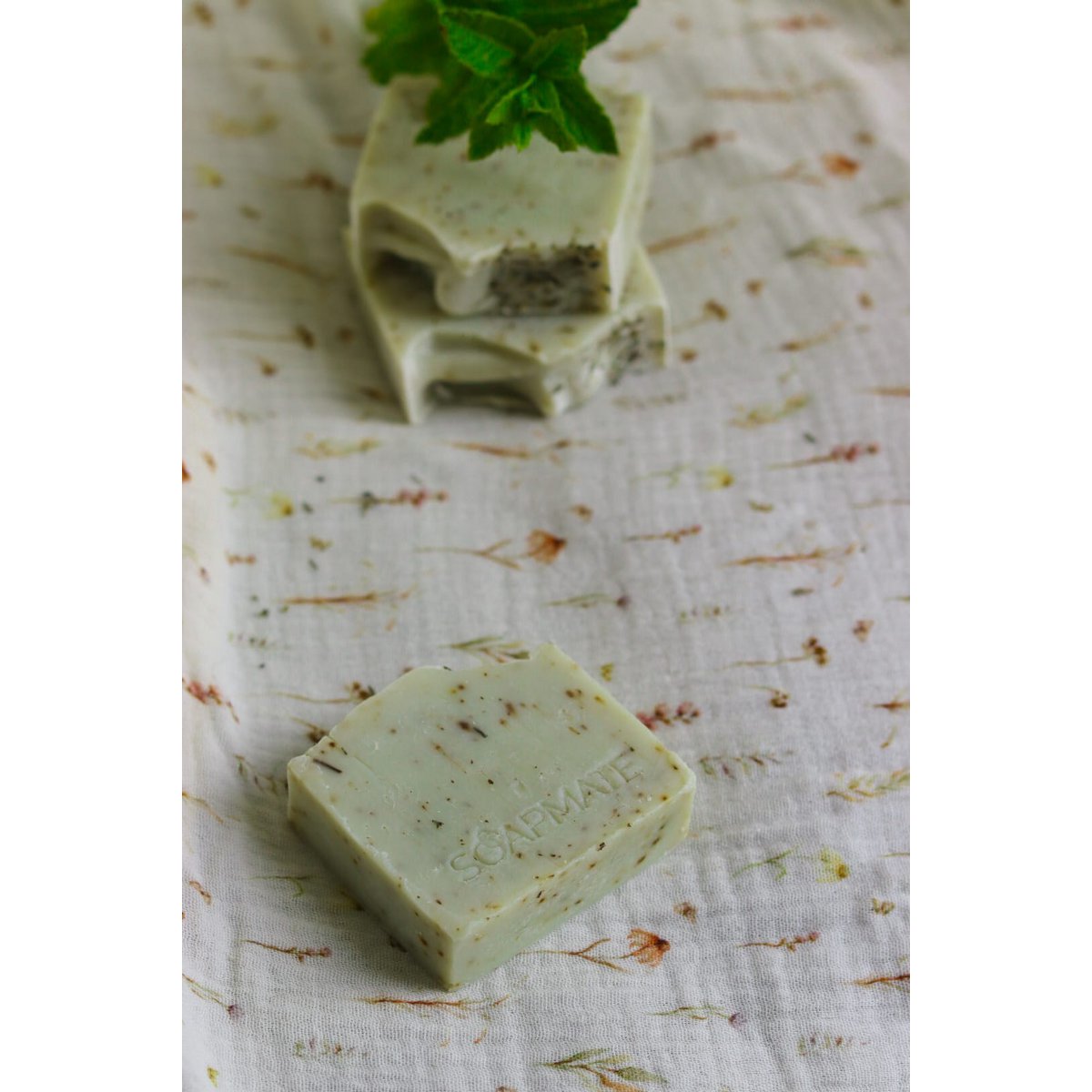 FOREST MIST - Natural Exfoliating Soap