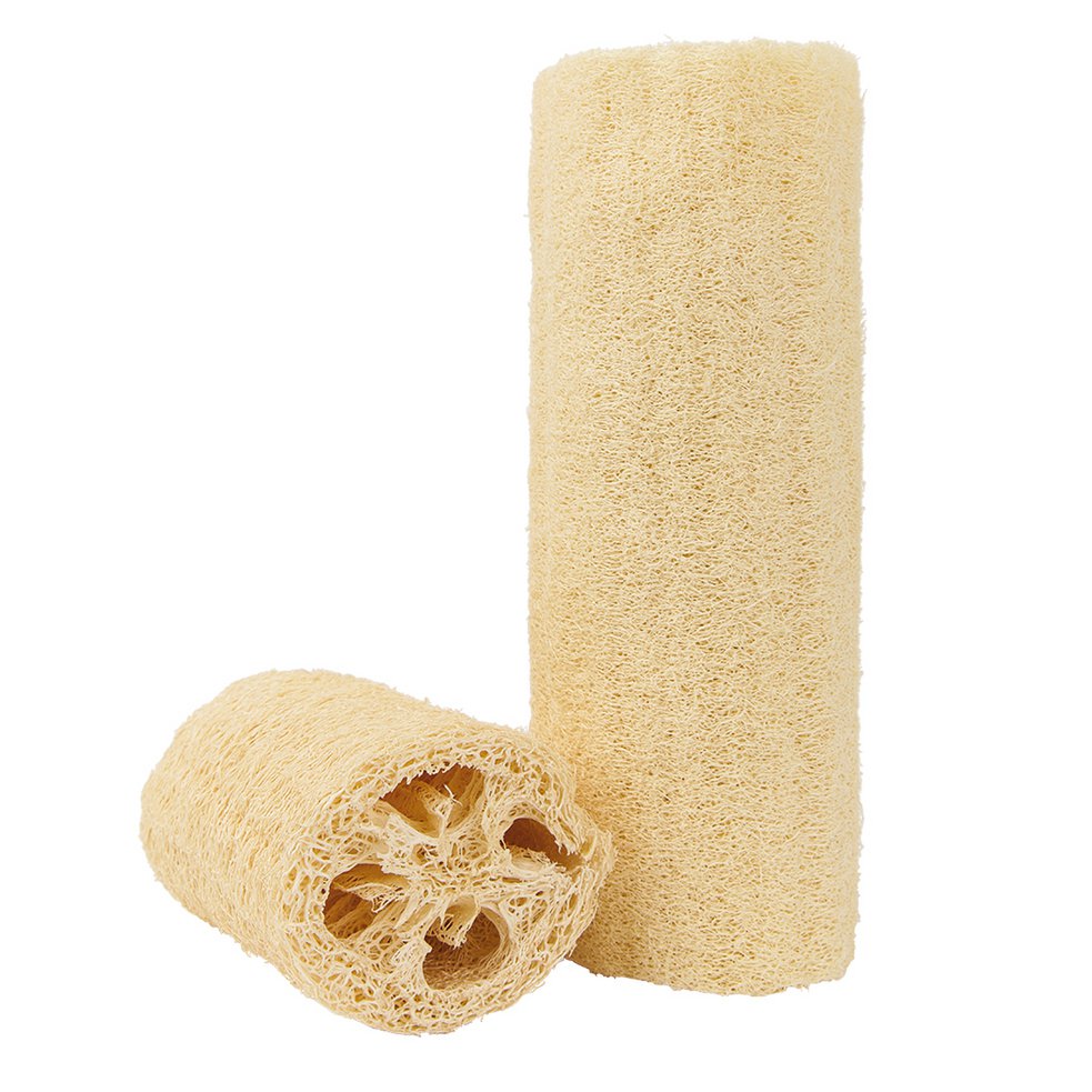 Luffa 20-30 cm