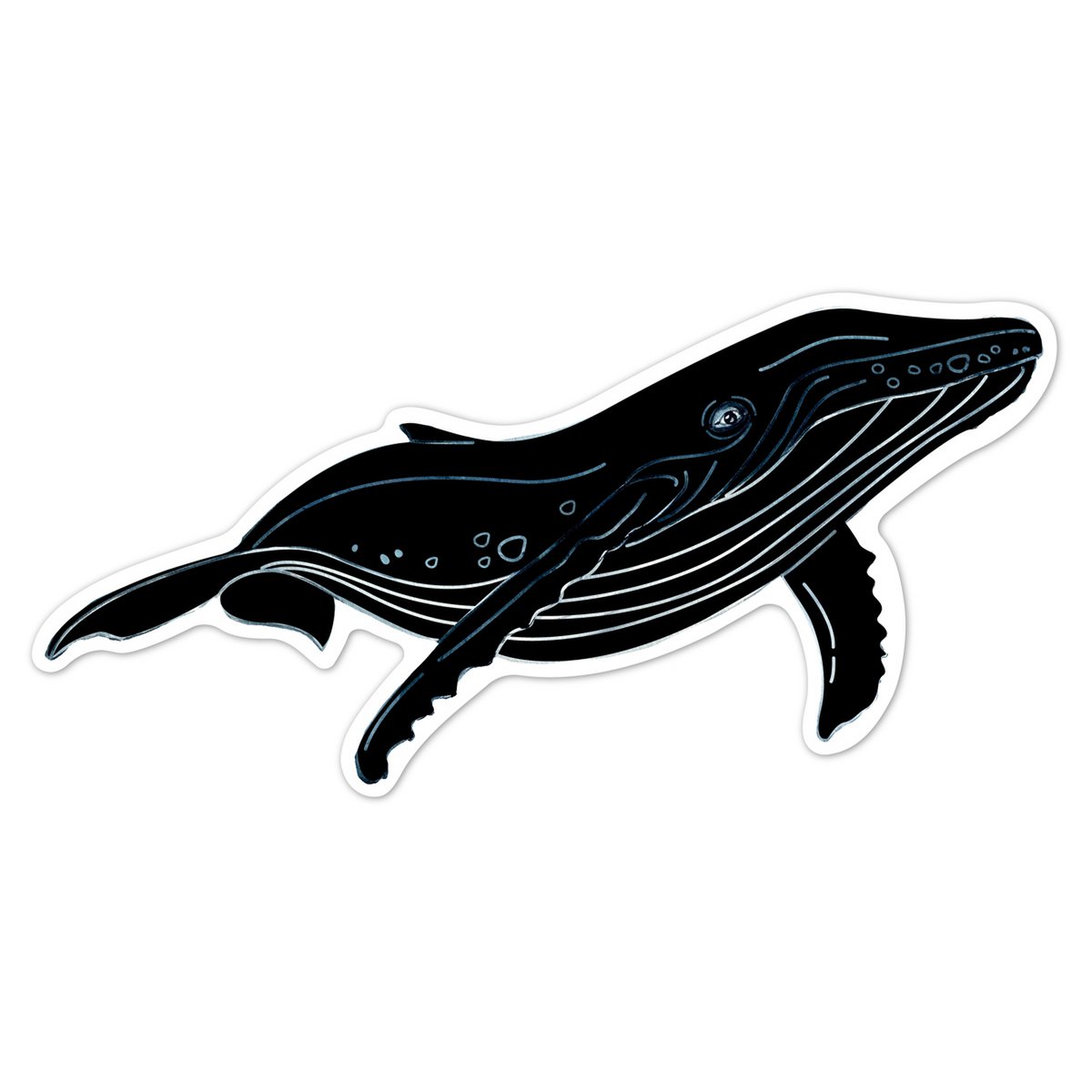 Scratch Stickers - Zeedieren