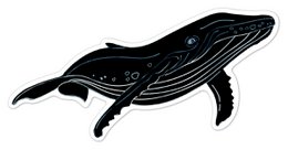 Scratch Stickers - Zeedieren