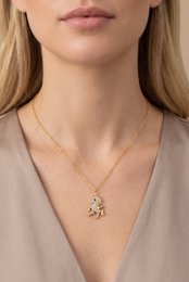Roestvrij stalen ketting