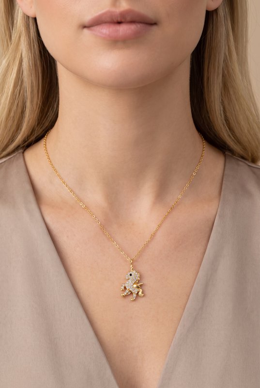 Collier en acier inoxydable