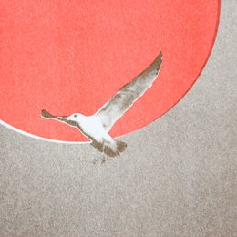 Möwe Fluo (offene Auflage) | Risographie Print