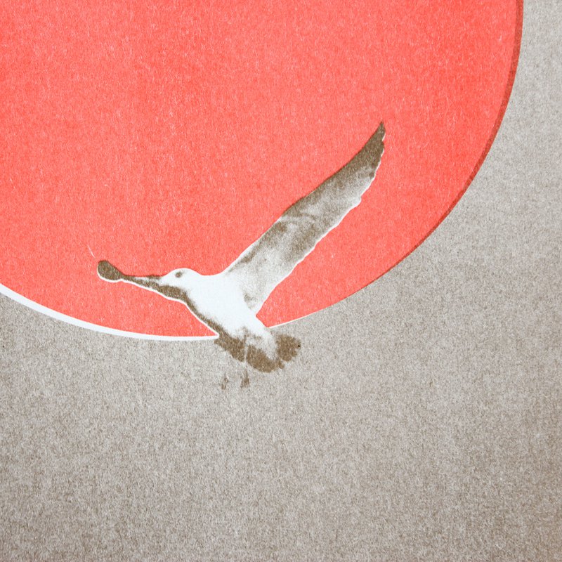 Möwe Fluo (offene Auflage) | Risographie Print