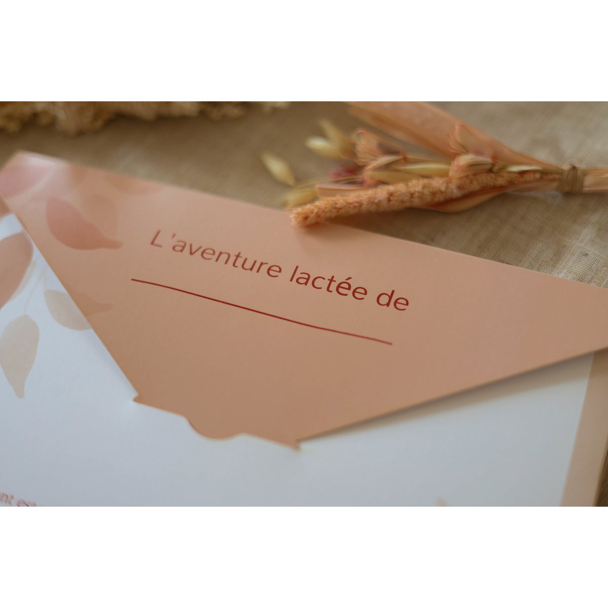Cartes étapes d'Allaitement