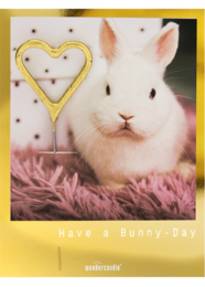 Golden Polaroid Sortiment Mini Wondercard