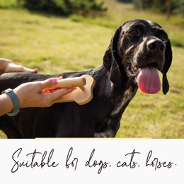 Wooden Massage Tool for Dogs, Cats, Horses, Pet Massager