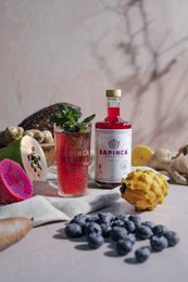 SAPINCA - Elisir di frutta biologica