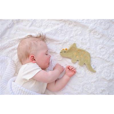 Crinkle-speelgoed - Triceratops
