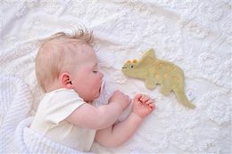 Crinkle Toy - Triceratops