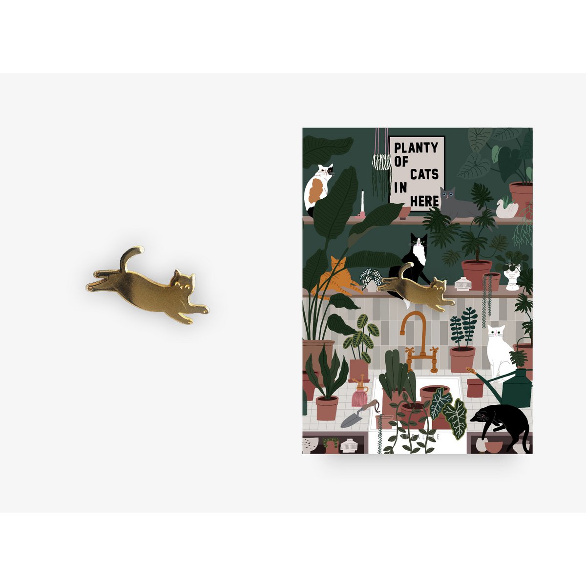 Pin / Planty Of Cats