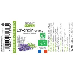 Grundlegende Bio -Lavandin ätherische Öl 10ml