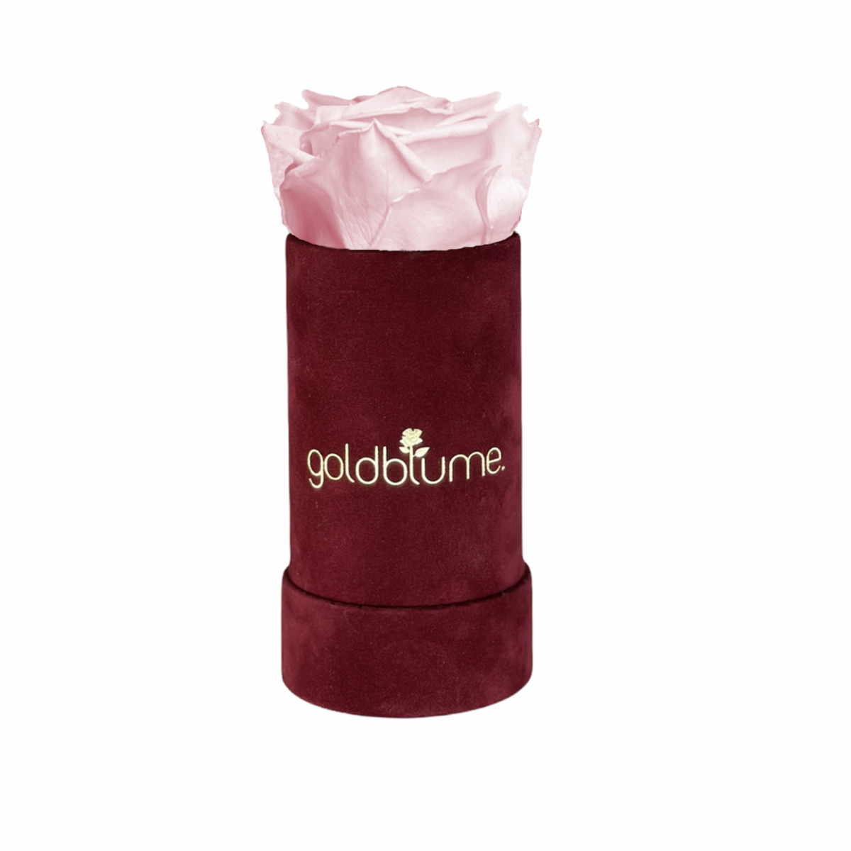Collection Velours Bordeaux