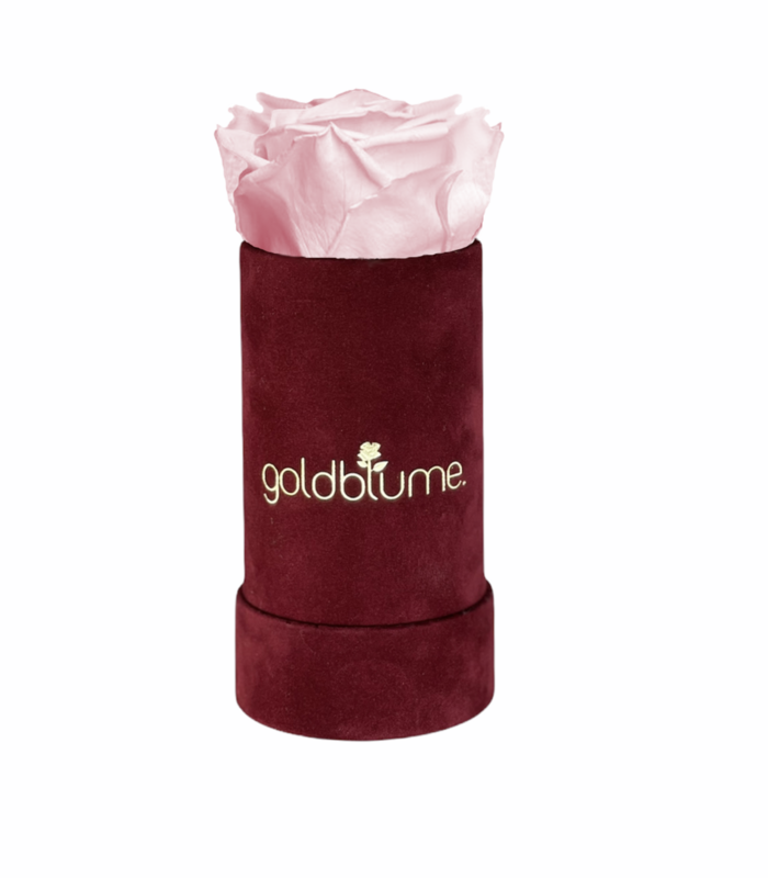 Velvet Bordeaux Collection
