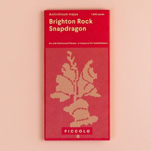Leeuwebek Brighton Rock