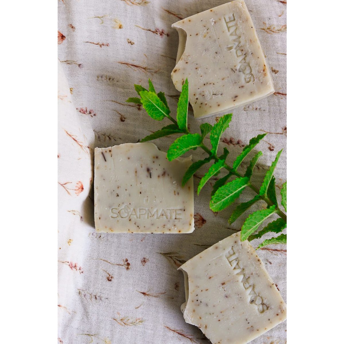 FOREST MIST - Natural Exfoliating Soap