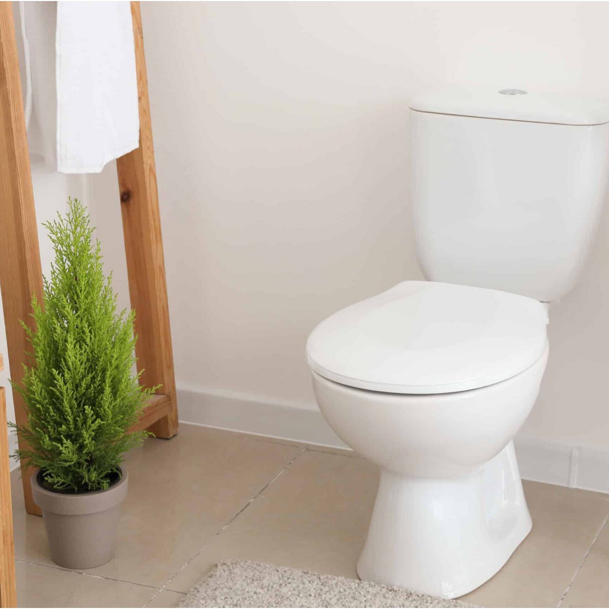 Toiletten-Spezial