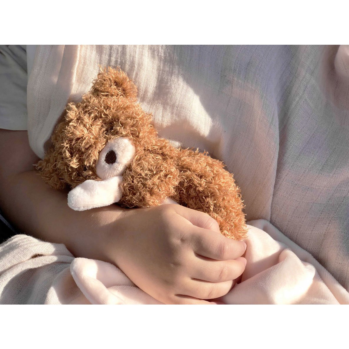Aka Cuddle cloth Teddy 25 cm