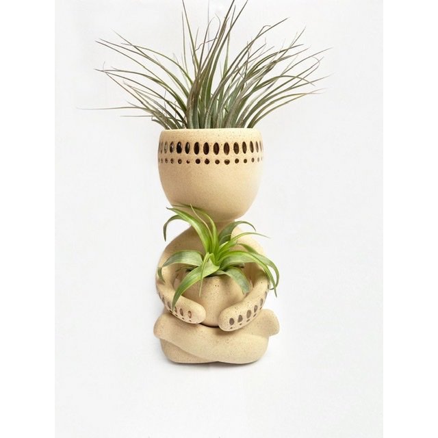 Air plant man