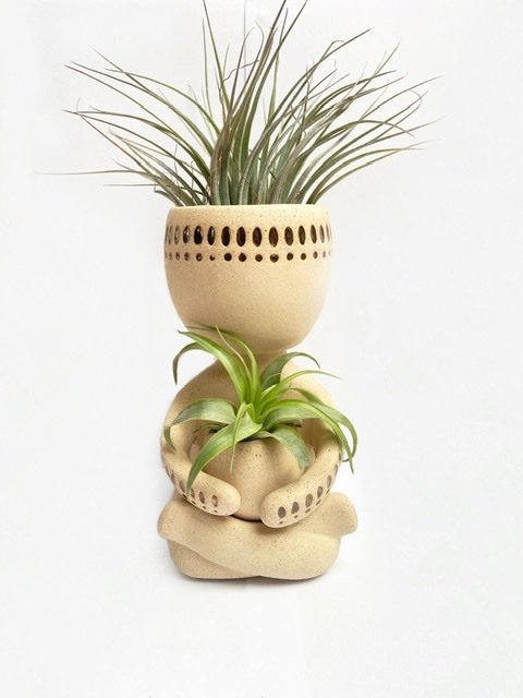 Air plant man