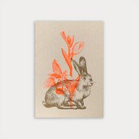 Postcard / Bunny with Daffodil / Risography