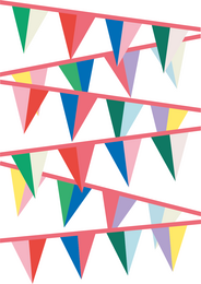 Colorful party bunting with triangular flags in various bright colors including red, blue, green, and yellow. The bunting is hung across the image, creating a festive and celebratory atmosphere.