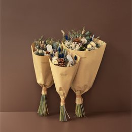 Gedroogde bloemen veldboeket – Silver Frost - Winterbestseller