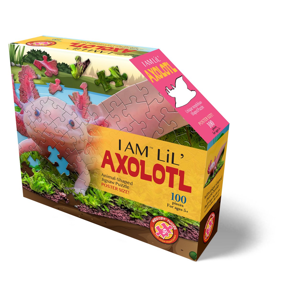 I Am Lil' - Axolotl