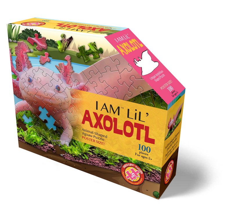 I Am Lil' - Axolotl