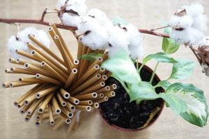 Set of 10 reusable long straws