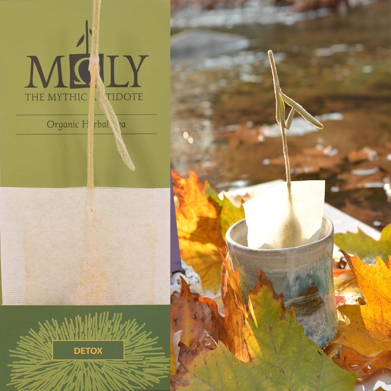 MΩLY "Detox" – Té de hierbas HoReCa con tallo de hierbas naturales