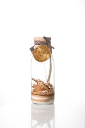 Bereiding voor gearrangeerde rum “Ginger Lemon” 50 CL