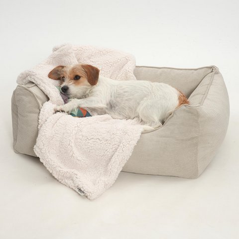 Hundebett Box Bett Chelsea Cord gravel