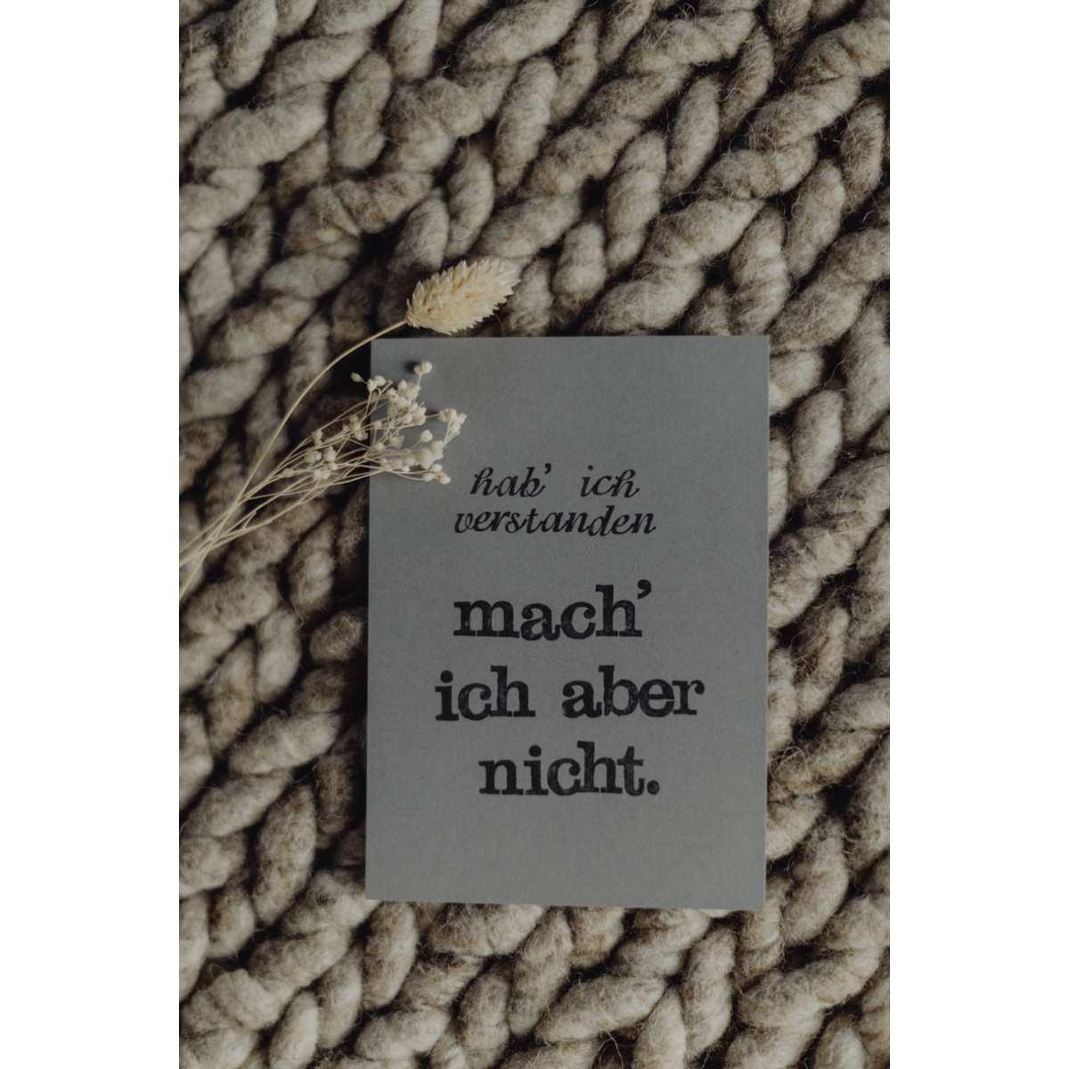 Gestempelte Postkarte "Hab ich verstanden"